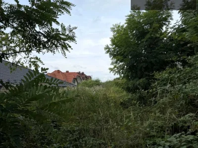 Ділянка. Ужгород, Золотиста вул.