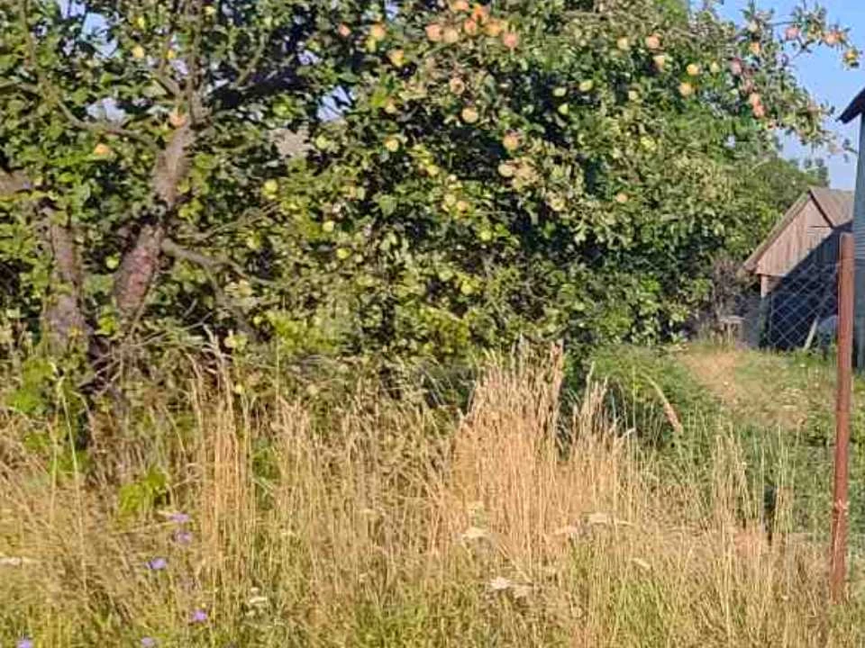 Ділянка. Ужгород, Листопадна