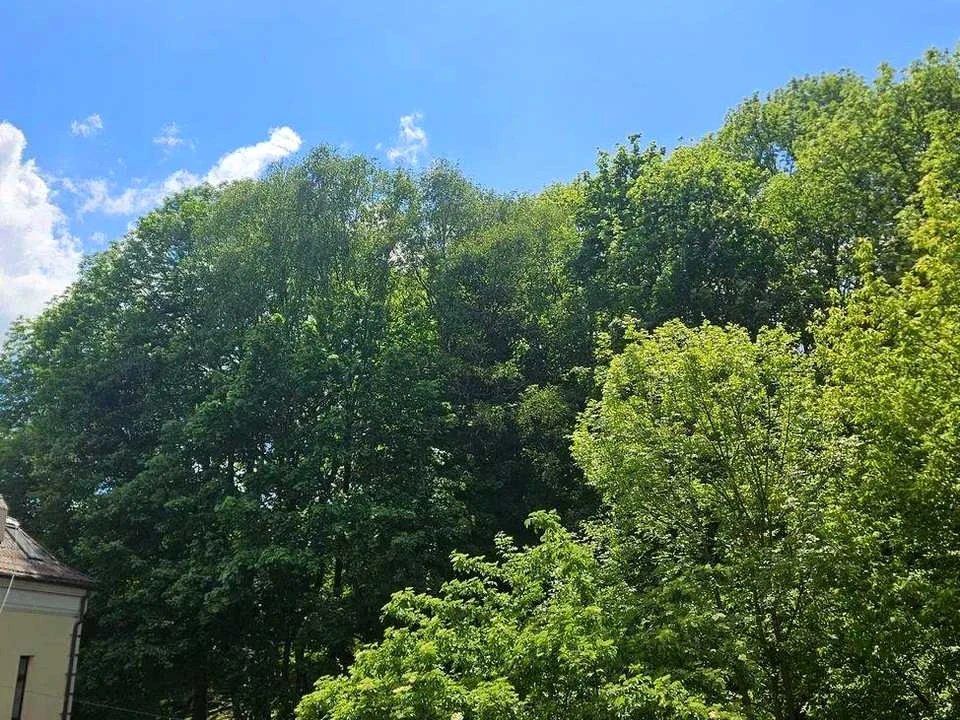 Квартира. Львів, Дмитра Вітовського вул.