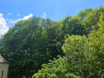 Квартира. Львів, Дмитра Вітовського вул.