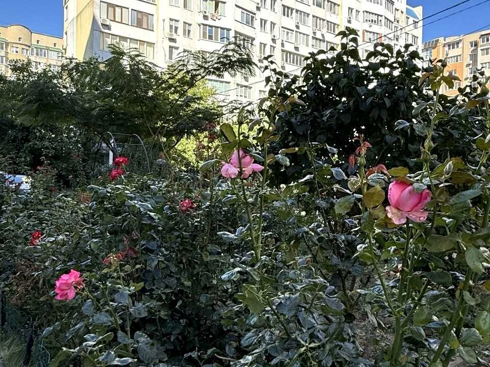 Квартира. Одеса, Євгена Чикаленка вул.
