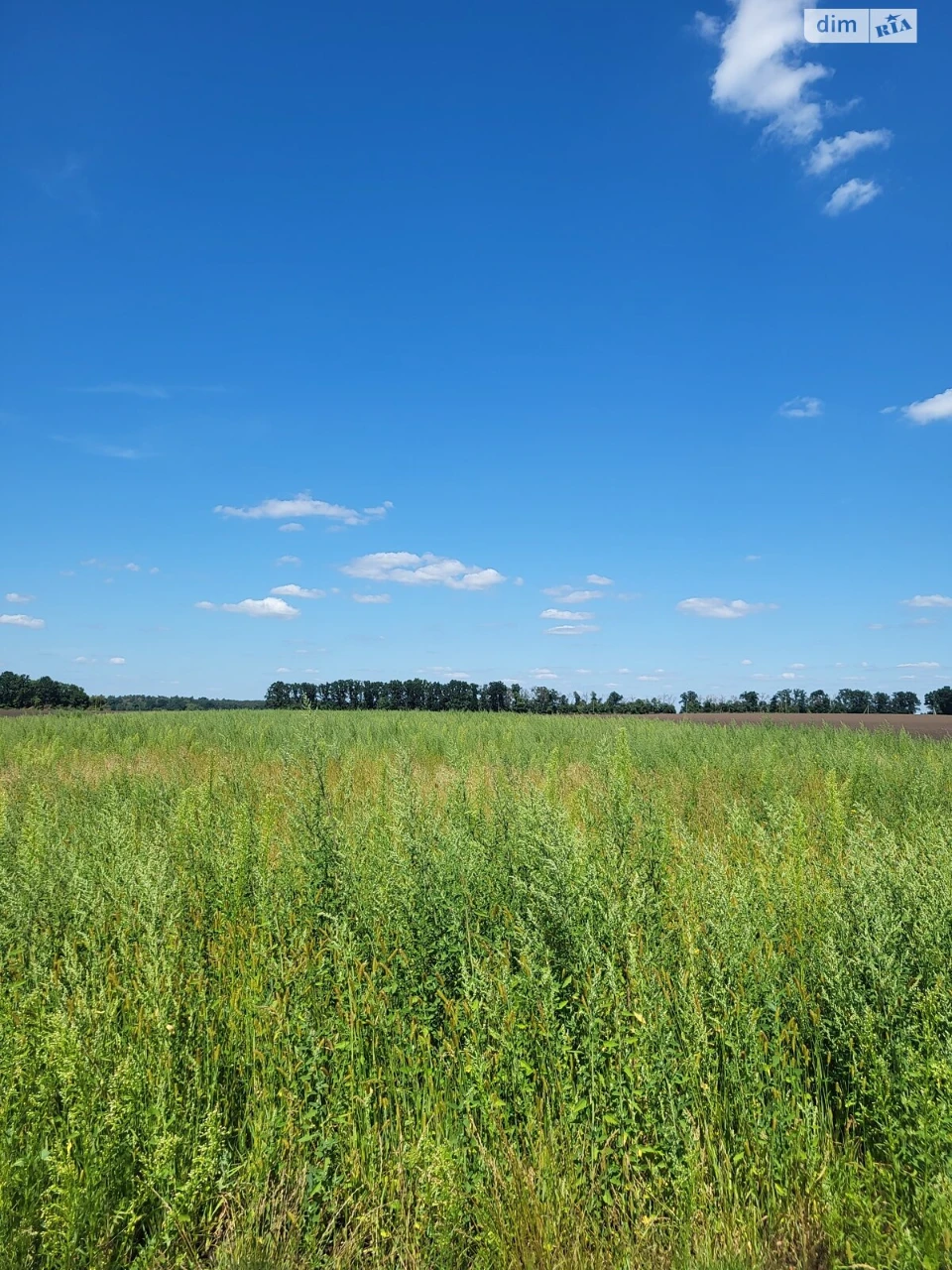 Продаж Земля сільськогосподарського призначення
