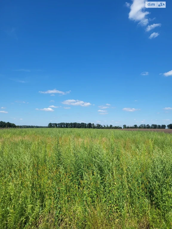 Продаж Земля сільськогосподарського призначення