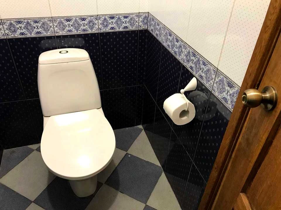 Будинок. Київ, Альпійська вул.
