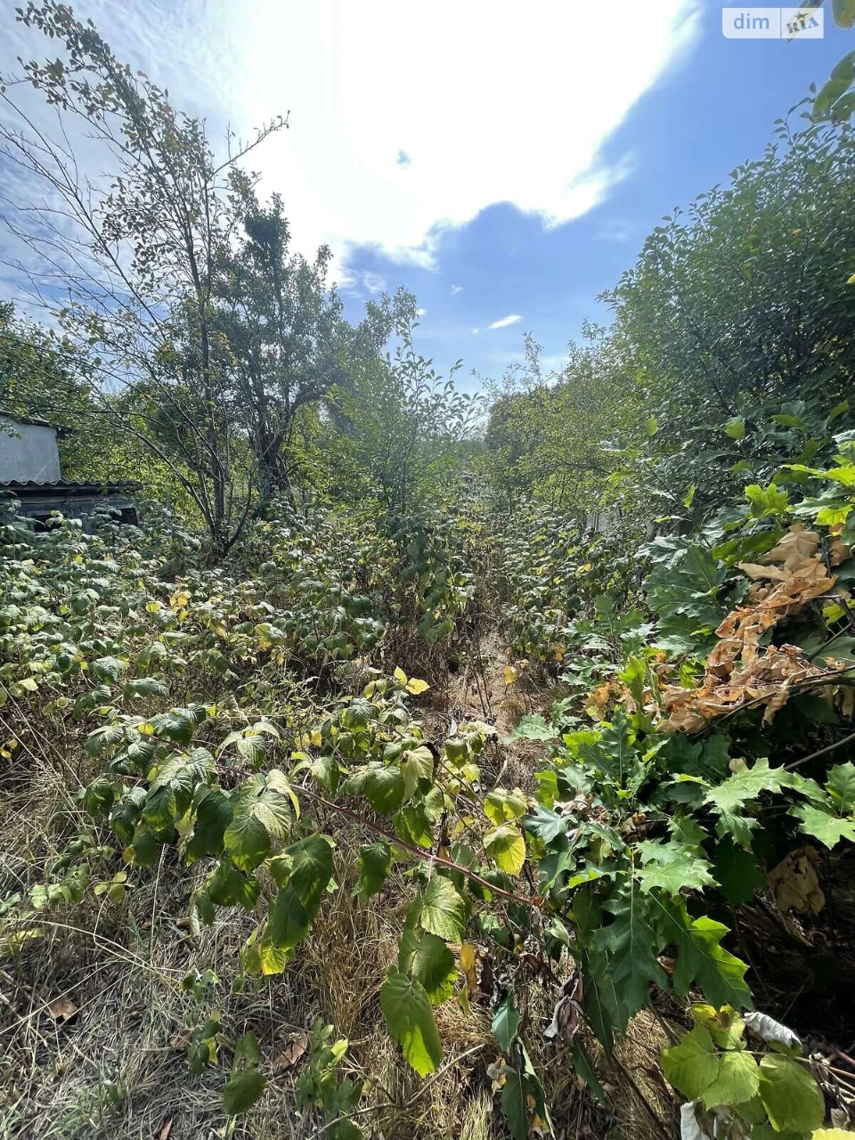 Sale House Pasichna