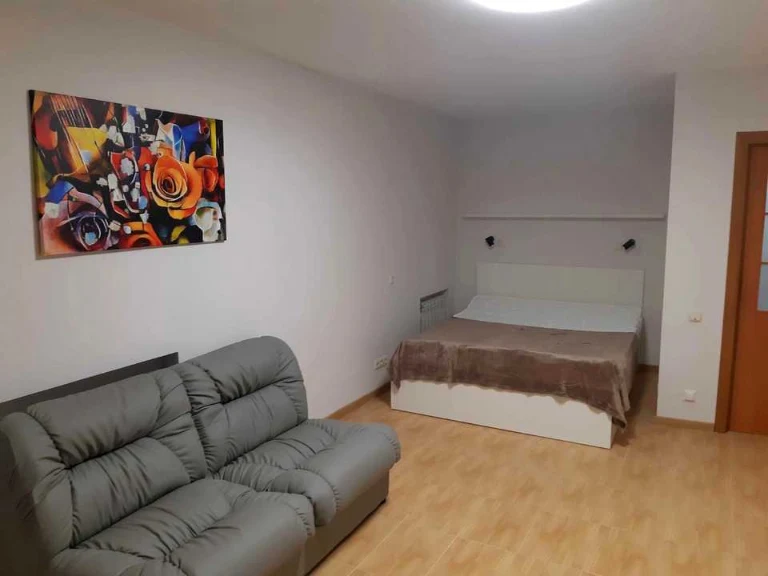 1-room apartment. Kyiv, Akademika Zabolotnogo St.