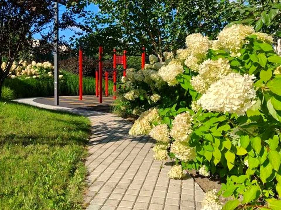Квартира. Київ, Вірменська вул.