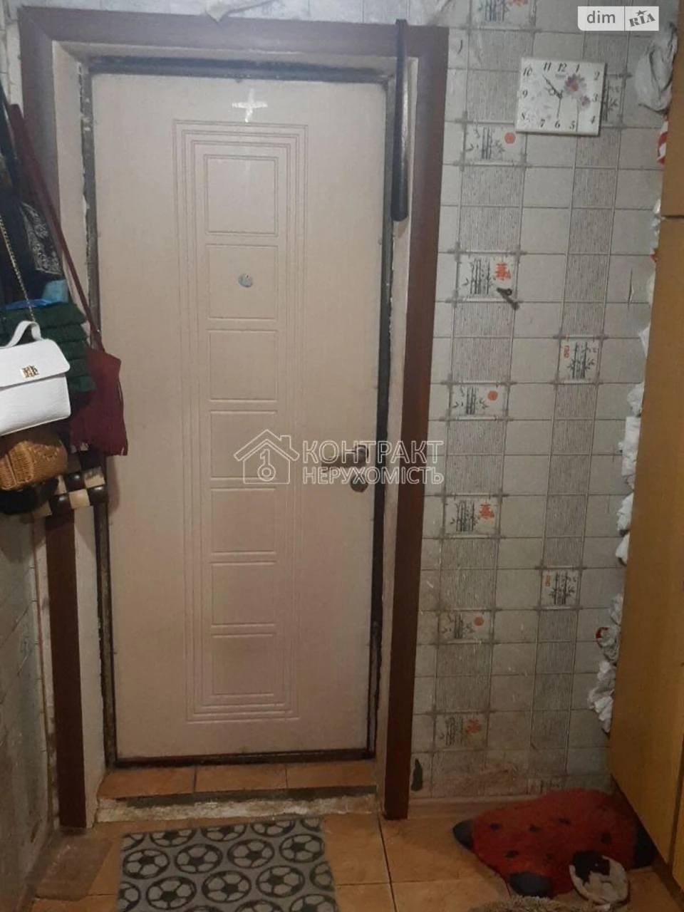 Sale House Nova Bavyria