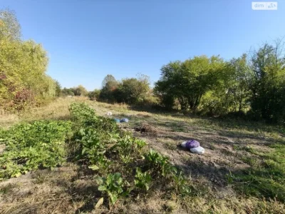 Продаж Земля сільськогосподарського призначення Опришівці