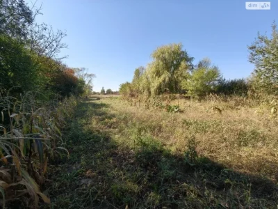 Продаж Земля сільськогосподарського призначення Опришівці