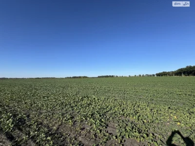 Продаж Земля сільськогосподарського призначення