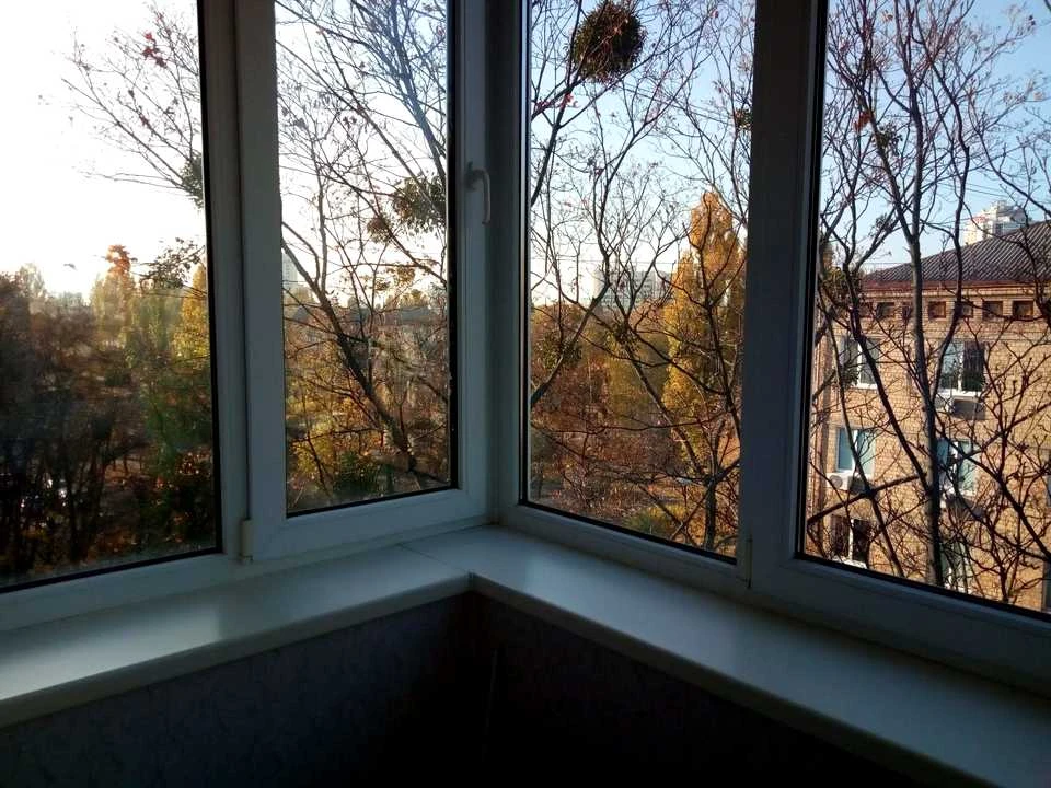 Apartment. Kyiv, London Street