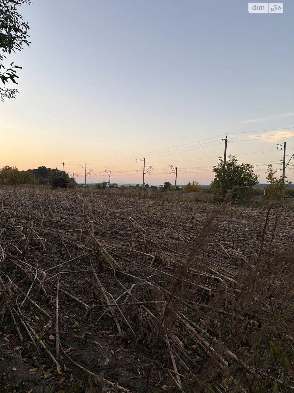 Продаж Земля сільськогосподарського призначення Лезневе