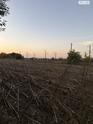 Продаж Земля сільськогосподарського призначення Лезневе