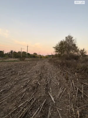 Продаж Земля сільськогосподарського призначення Лезневе