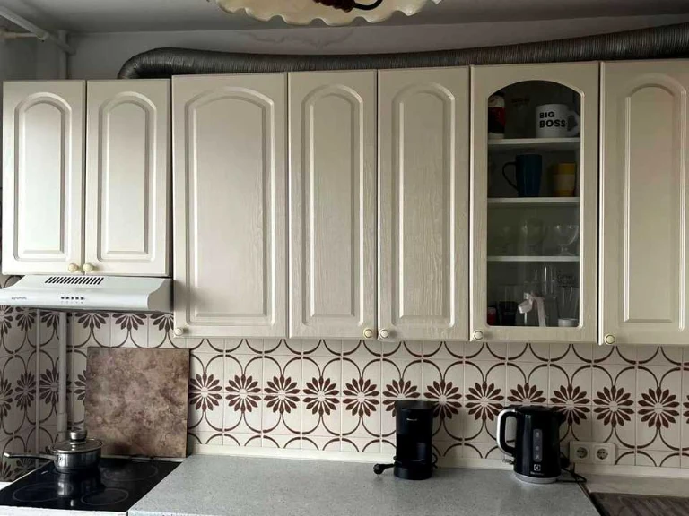 Apartment.  Mykropolyta Vasyl Lepiksky St.