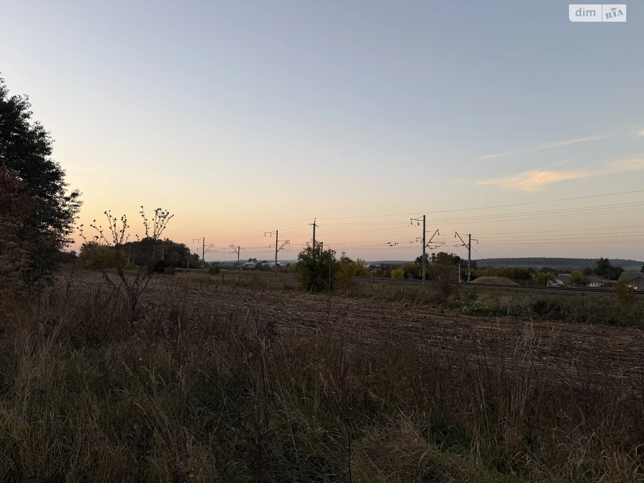 Sale of Land for Agricultural Purposes, Leznovye