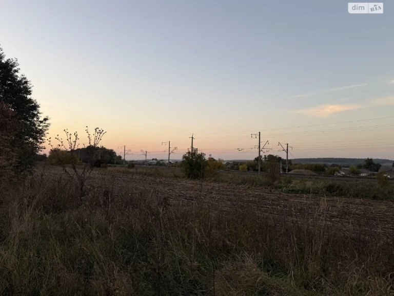 Sale of Land for Agricultural Purposes, Leznovye