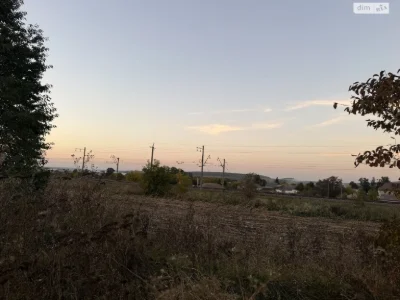 Sale of Land for Agricultural Purposes, Leznovye
