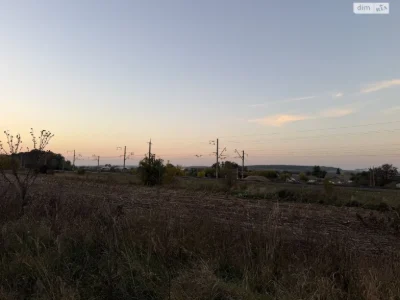 Sale of Land for Agricultural Purposes, Leznovye