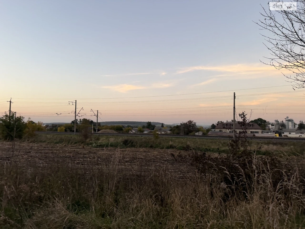 Sale of Land for Agricultural Purposes, Leznovye