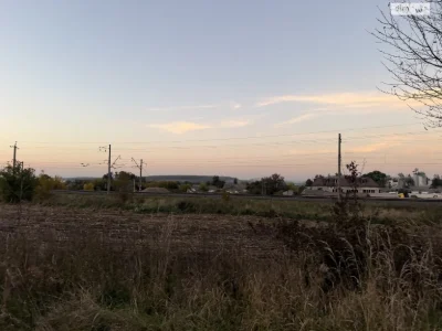 Sale of Land for Agricultural Purposes, Leznovye