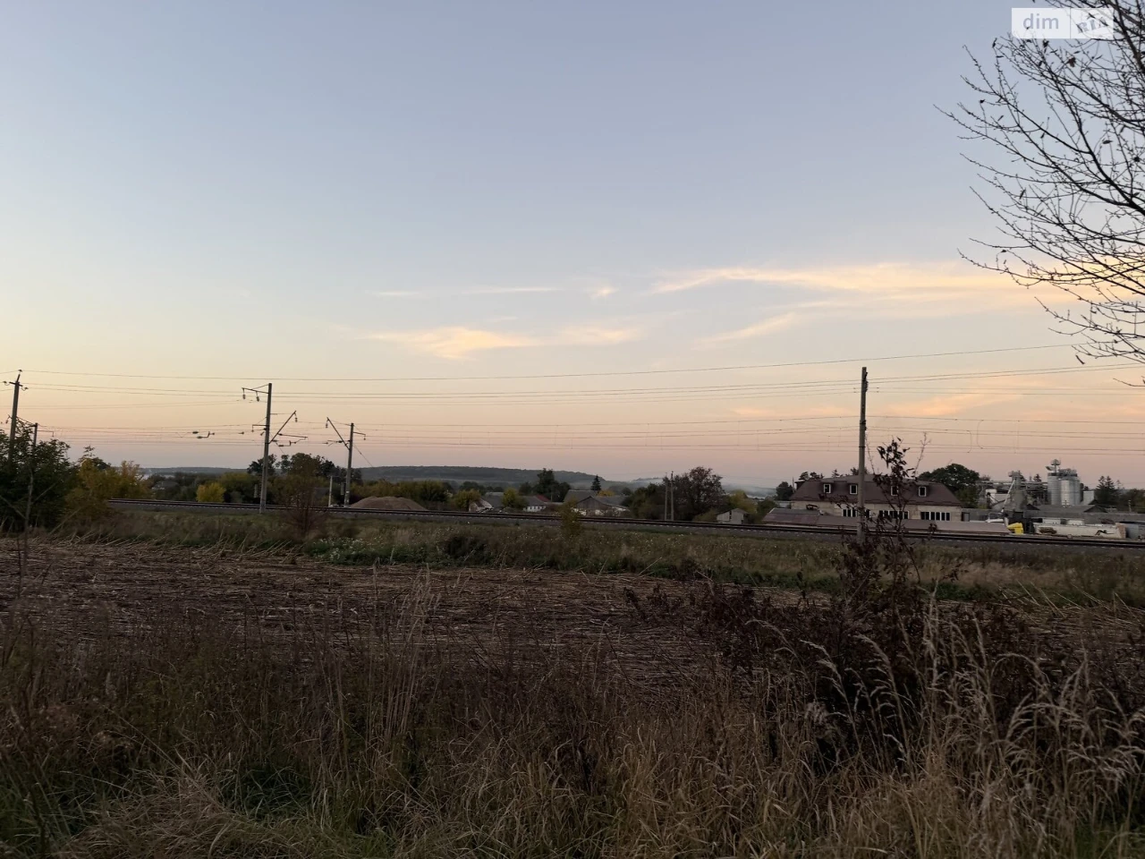 Sale of Land for Agricultural Purposes, Leznovye