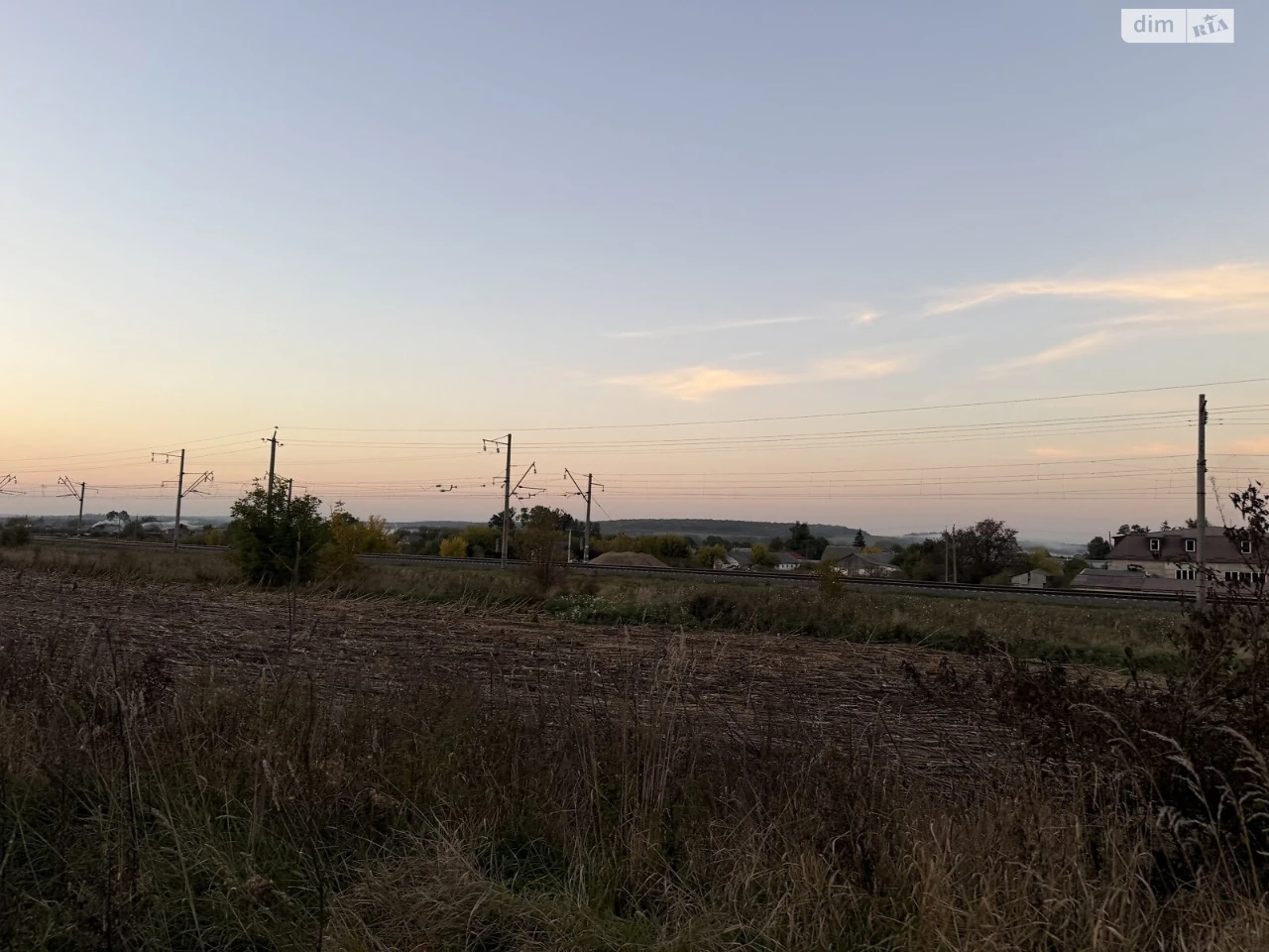 Sale of Land for Agricultural Purposes, Leznovye