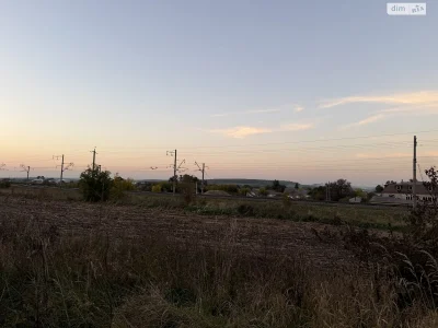 Sale of Land for Agricultural Purposes, Leznovye