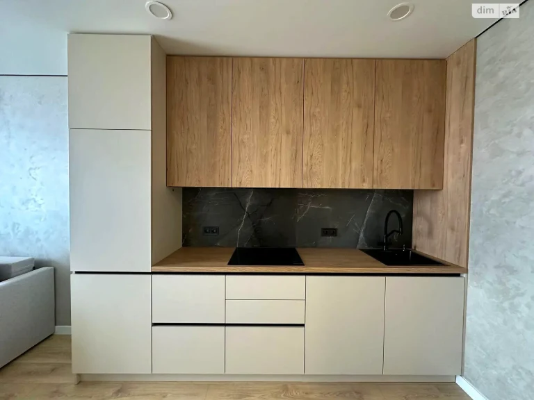 Long-Term Rent One-Bedroom Apartment Podilsky