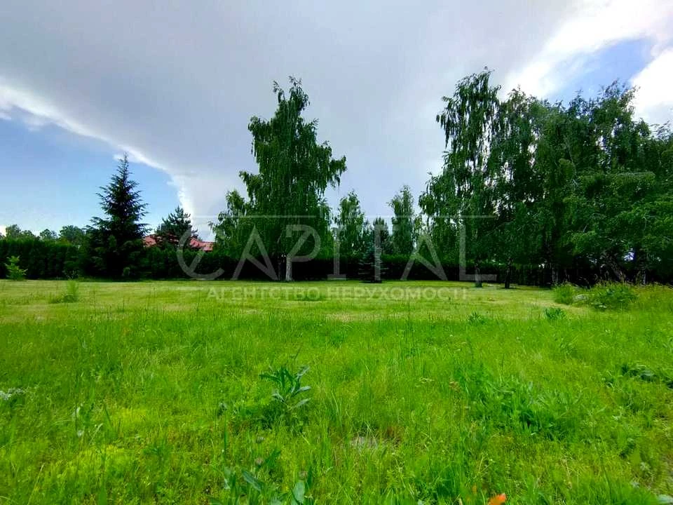 Ділянка. Київ, Центральна вул.