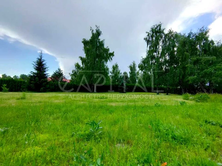 Ділянка. Київ, Центральна вул.