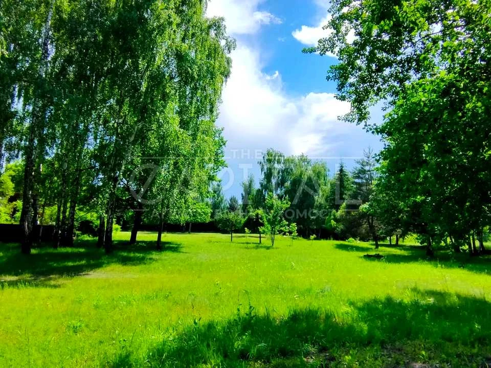 Ділянка. Київ, Центральна вул.
