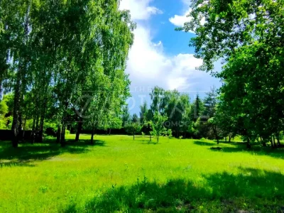 Ділянка. Київ, Центральна вул.