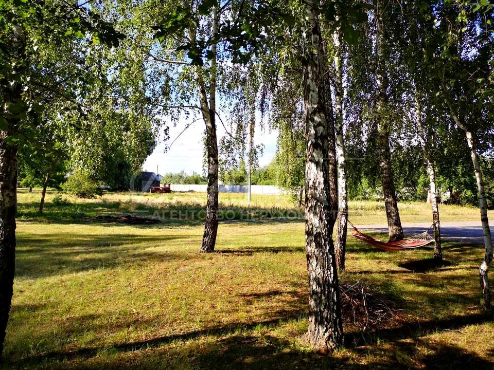 Ділянка. Київ, Центральна вул.