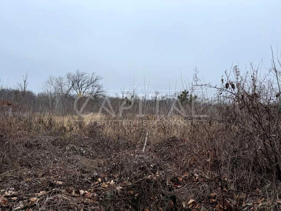 Ділянка. Київ, Тираспольська вул.