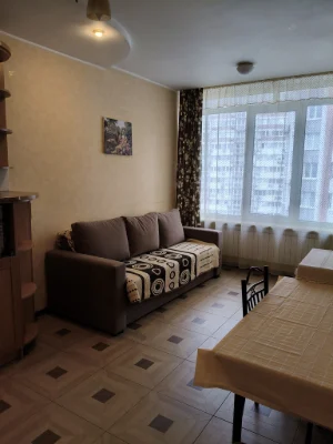 Rent 1-room apartment 58 sq m, Elena Pchylko St., 6