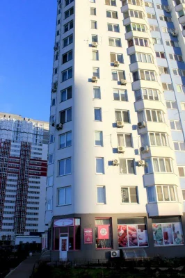 Rent 1-room apartment 58 sq m, Elena Pchylko St., 6