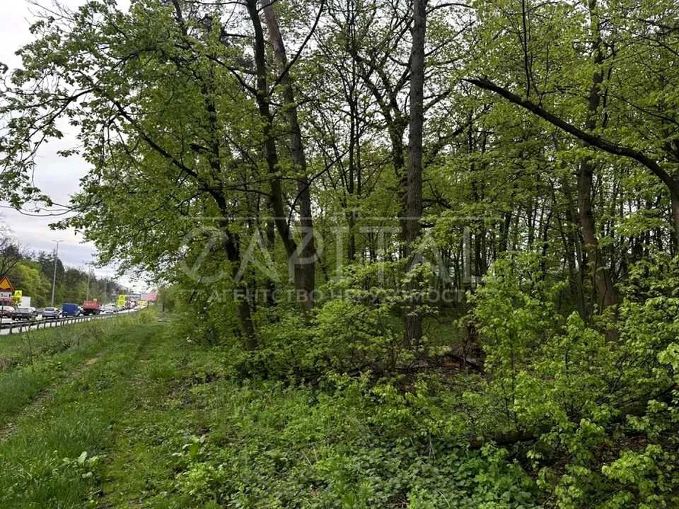Ділянка. Київ, Берестейське шосе