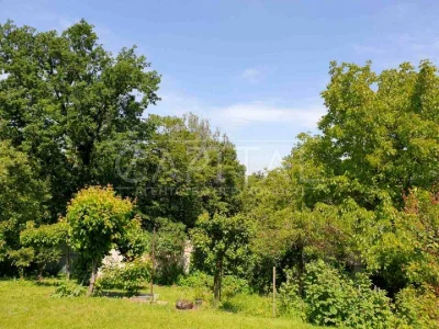 Ділянка. Київ, Краматорський пров.