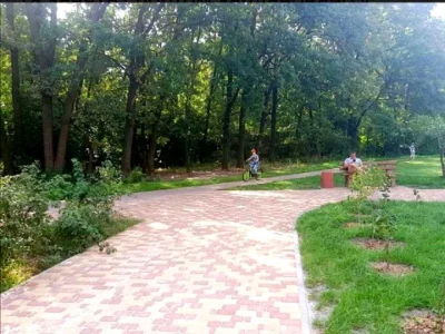 Квартира. Киев, улица Остафия Дашкевича.