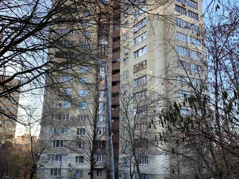 Apartment. Kyiv, Panasa Myrnohy Street.