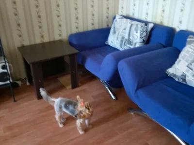 Квартира. Київ, Григорія Ващенка вул.