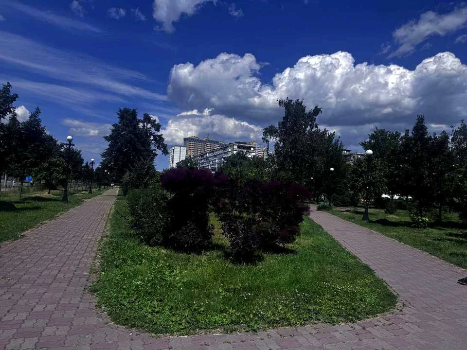 Apartment. Kyiv, Lytovsky Prospect.