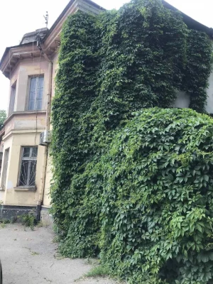 Продажа Квартиры Хаджибейский