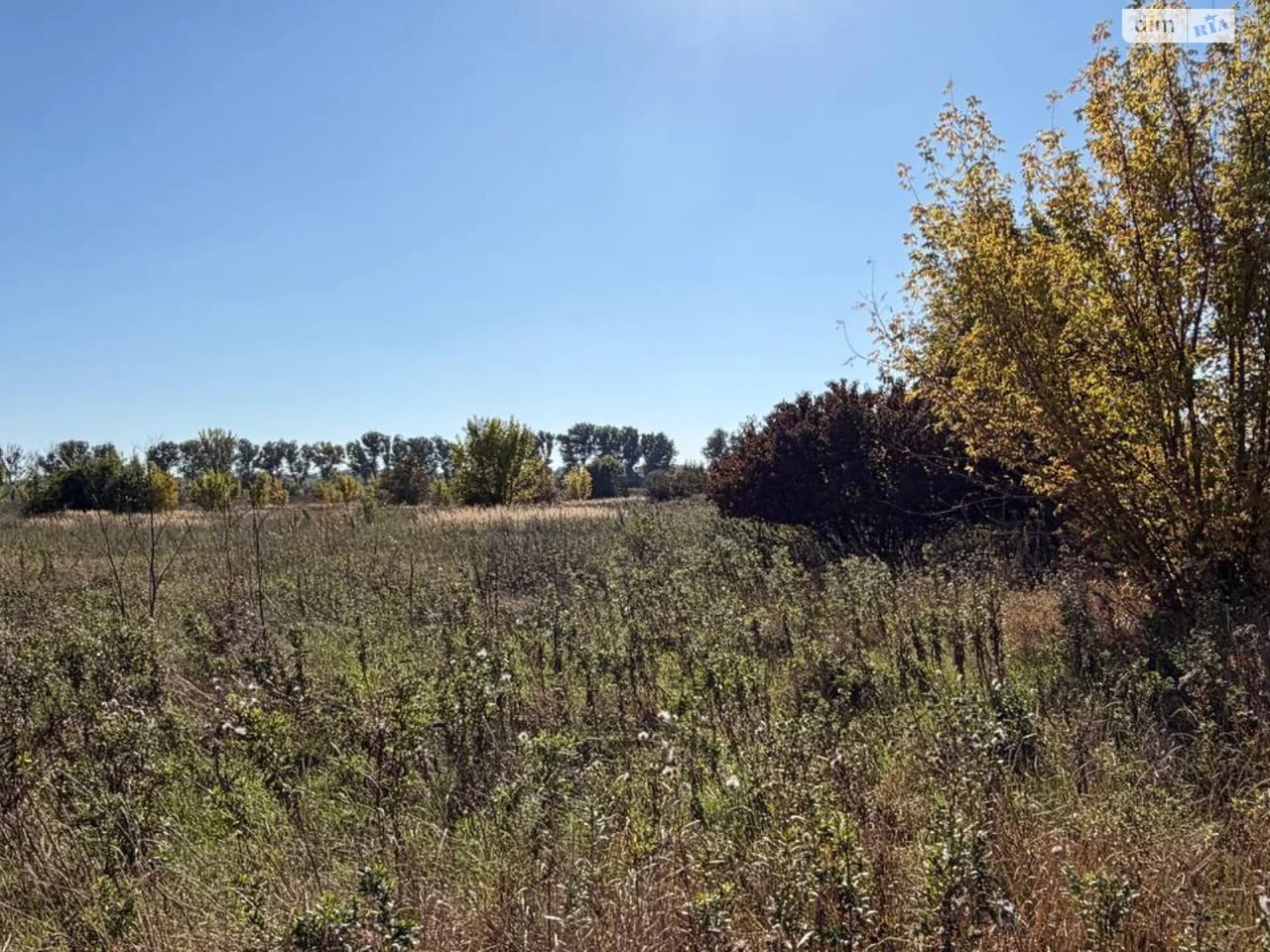 Land for residential construction, Lezneve