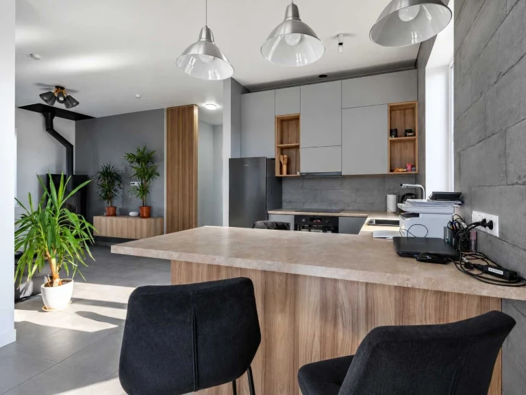 House with renovation and furniture, solar panels
