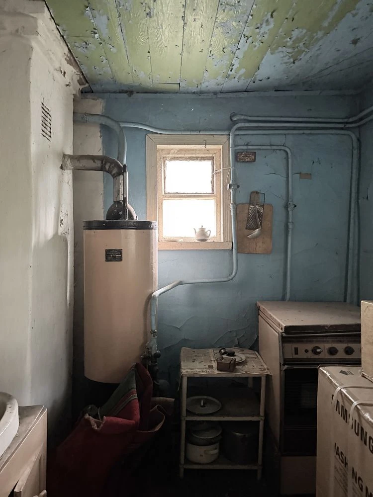 Продам частину будинку 48 м² на Небаби — 7 соток, гараж, пог