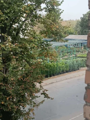 Продам,3х ком.квартиру,вул.Перемоги;85000 дол