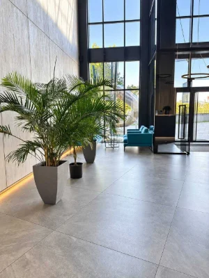 Sale of Greenville Park business class residential complex (Greenville) with a terrace